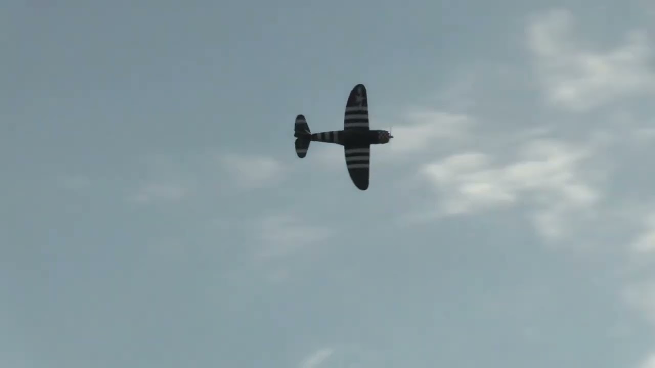 Gator RC Giant Scale P-47 RC flight review by Mike Dorna
