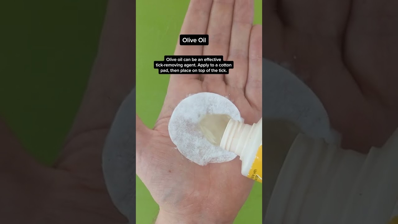 Try These Home Hacks To Help Wipeout Dog Ticks #dogshorts #dogs #dogslife