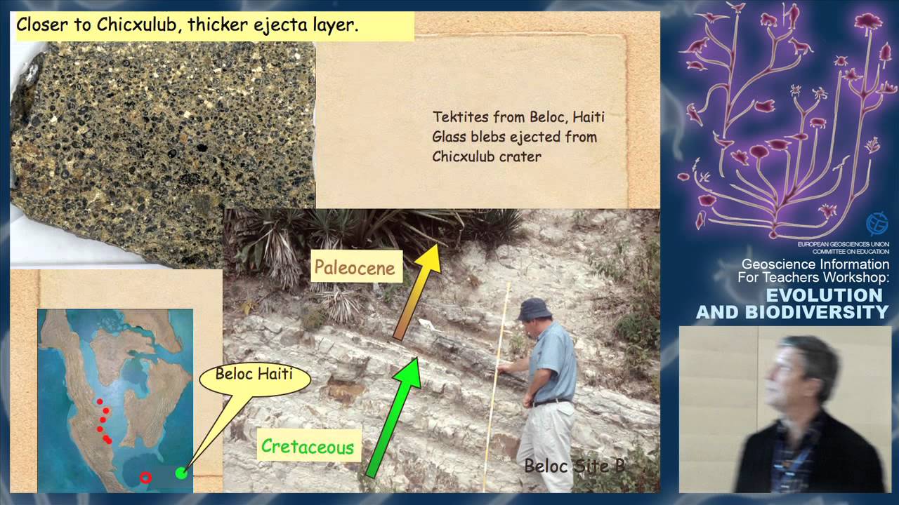 GIFT2011: The delicate balance between Chicxulub impact and/or Deccan traps