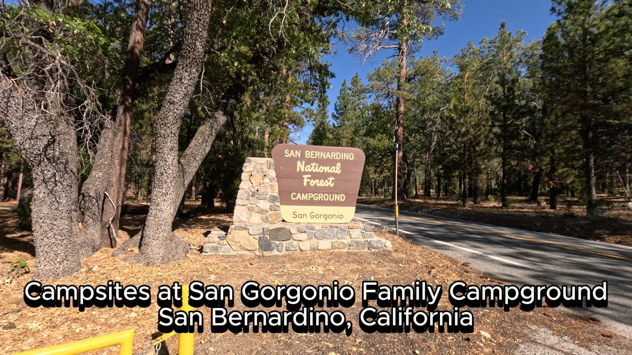 Campsites at San Gorgonio campground