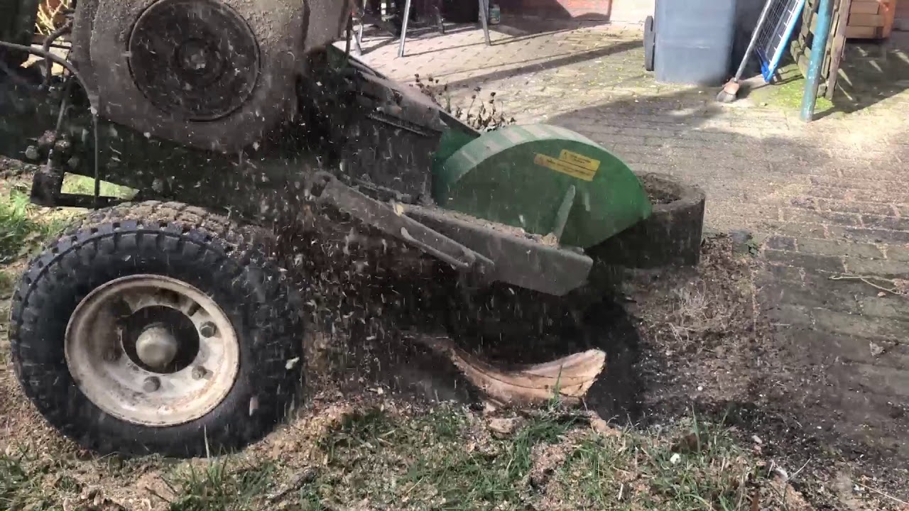 Baumstumpf entfernen Baumwurzeln Baumstumpffräsen Stubbenfräsen 2020