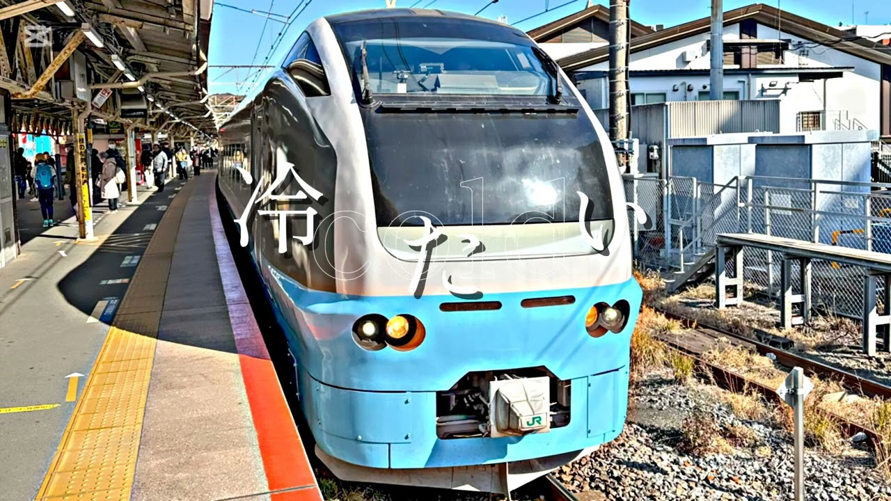 アゲハ蝶