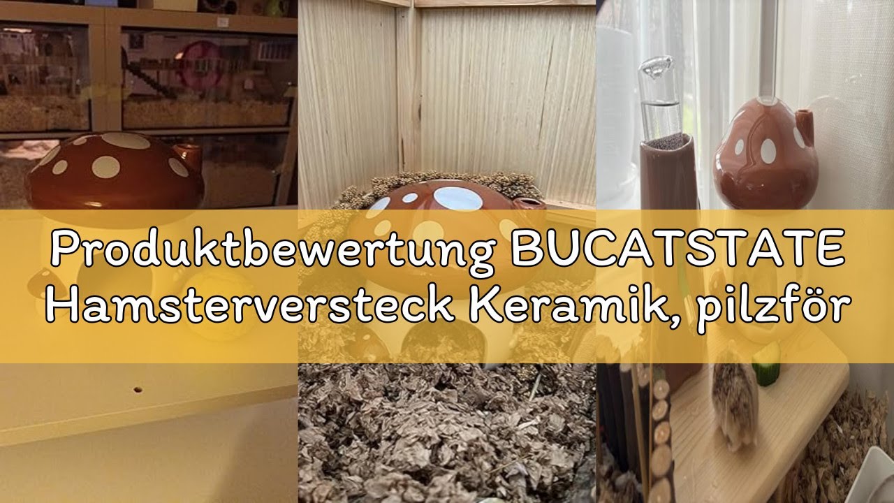 Produktbewertung BUCATSTATE Hamsterversteck Keramik, pilzförmiges Hamsterhaus und Lebensraum Frische