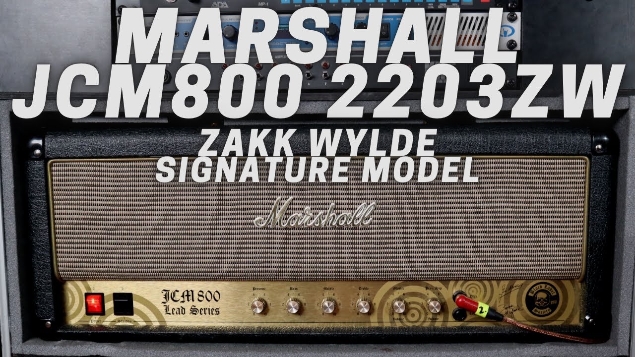 MARSHALL JCM800 2203ZW | Zakk Wylde Signature Model