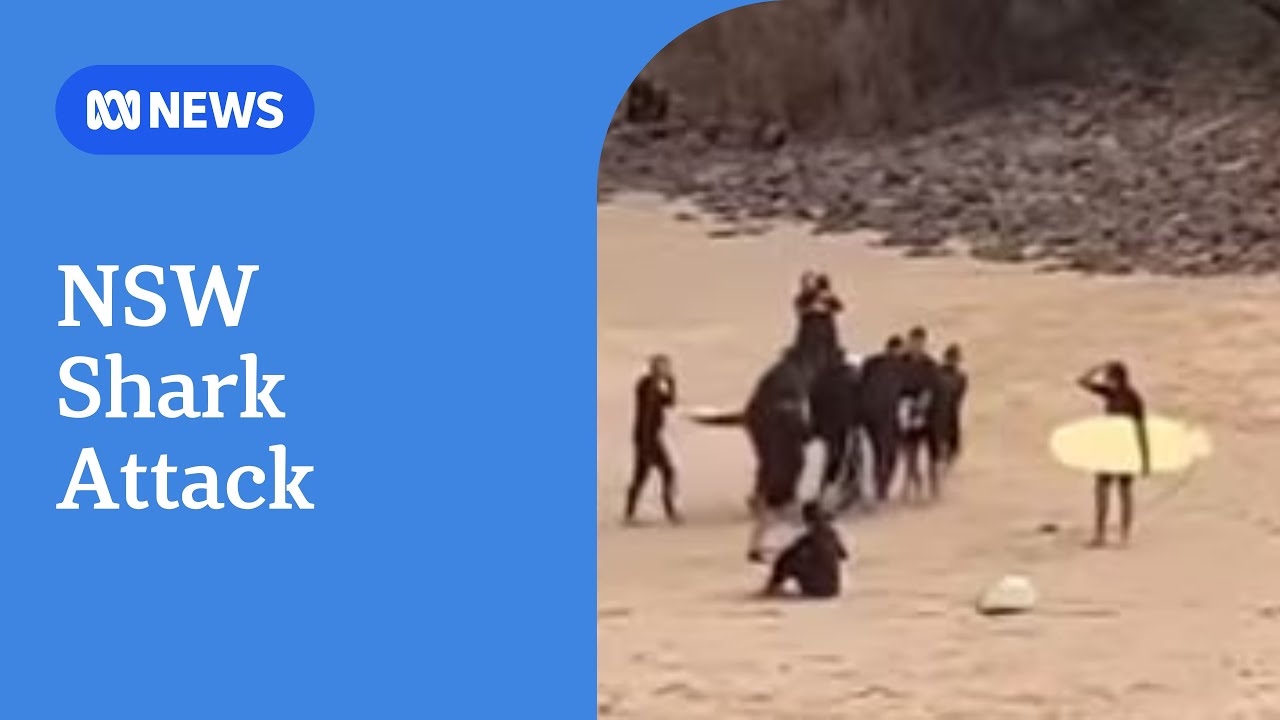Teenager hospitalised after shark bite near Byron Bay | ABC NEWS