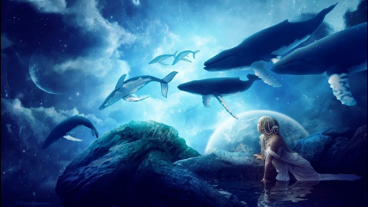 Nightcore Last of the great Whales