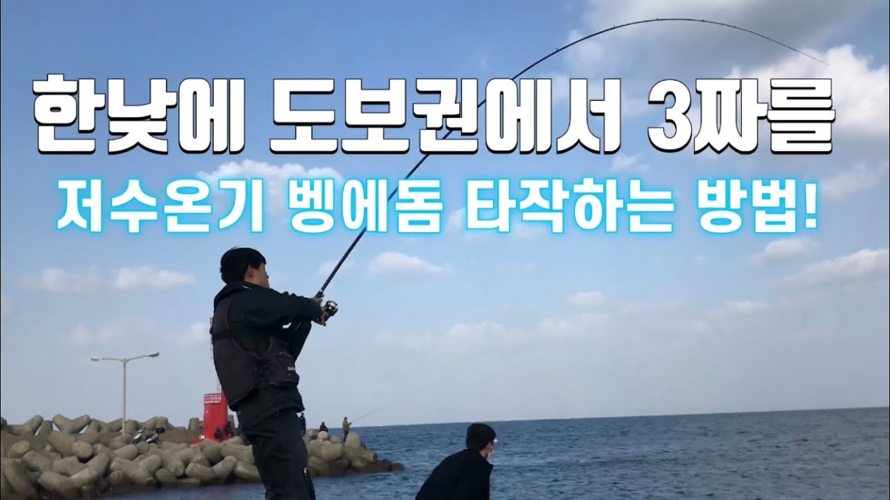 제주 벵에돔 낚시 3짜를 쉽게 잡아보자!