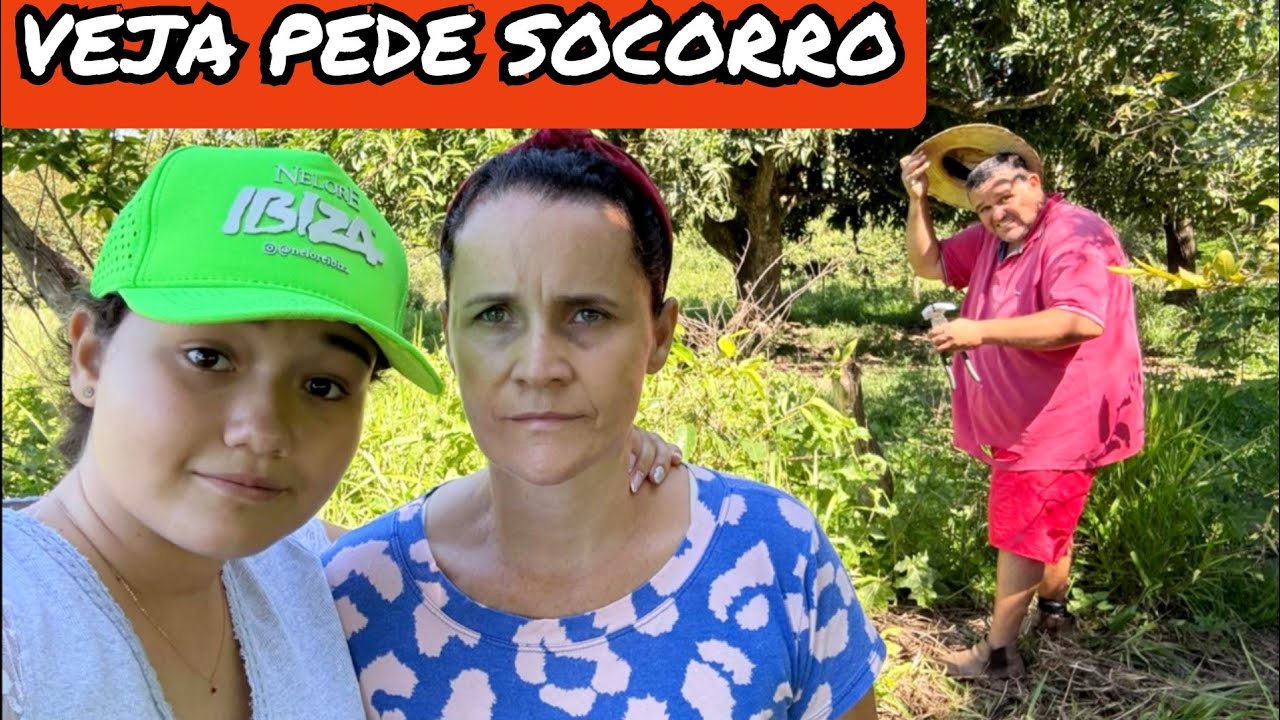 E A MANHÃ AQUI NA ROÇA PASSA VOANDO/TERMINAMOS A MANUTENÇÃO DA CERCA DO APOLO