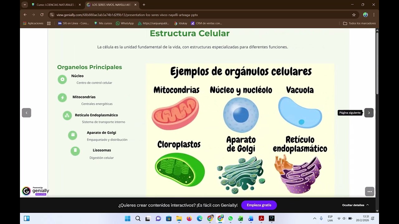 TEMA: RETROALIMENTACIÓN PROPEDÉUTICO