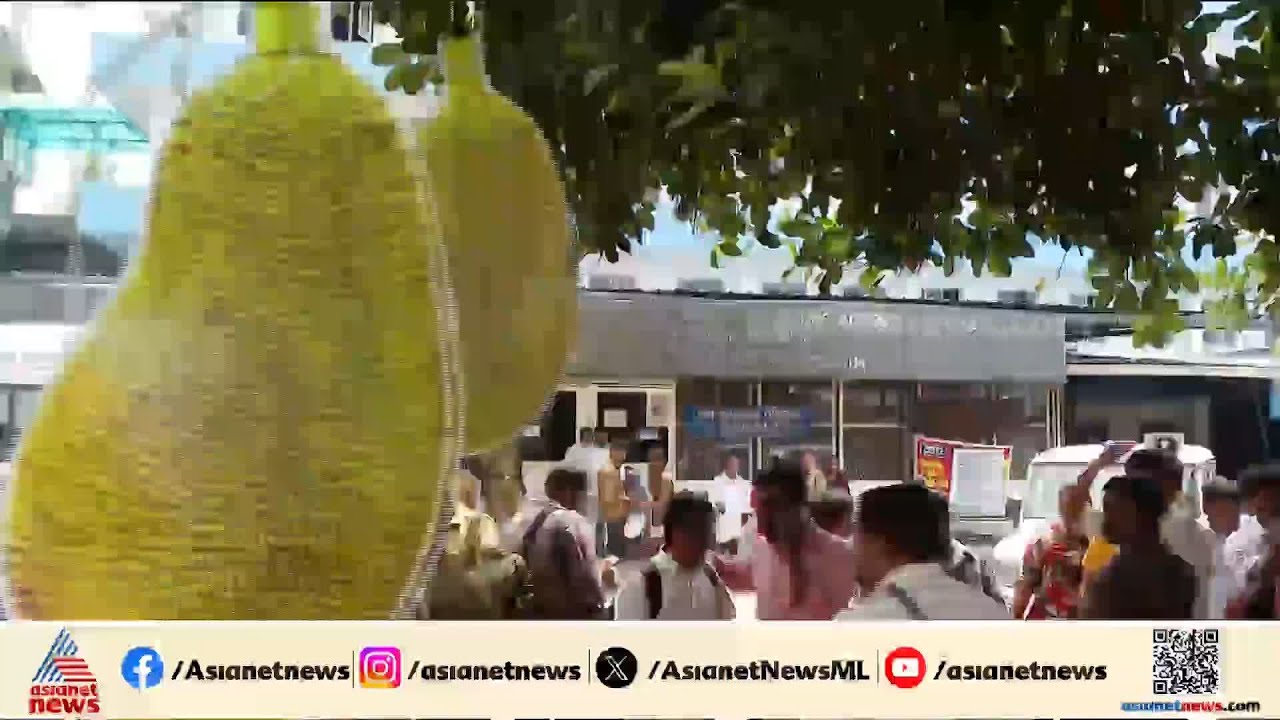 പത്തനംതിട്ട ജനറൽ ആശുപത്രിയിൽ രോഗിയുടെ തലയിൽ ചക്ക വീണു; പ്രതിഷേധവുമായി യൂത്ത് കോൺഗ്രസ്