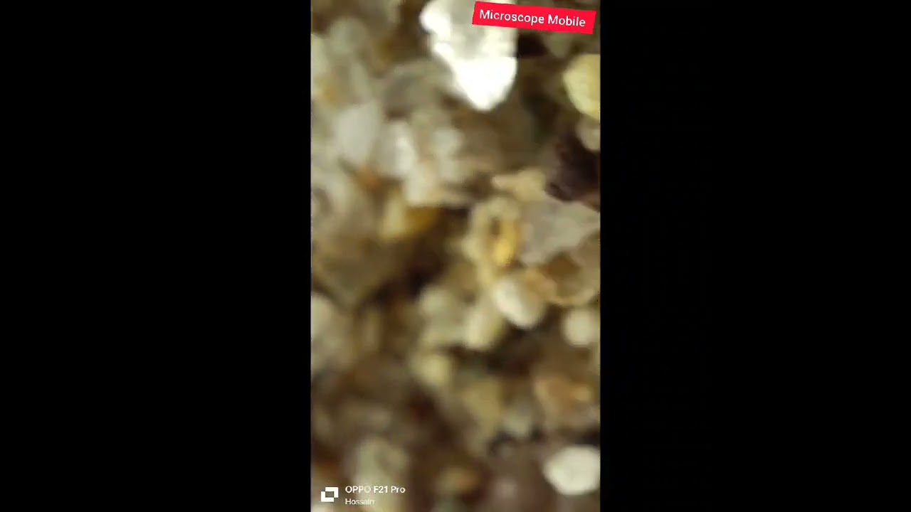 Sand under the microscope. #shorts  #microscope