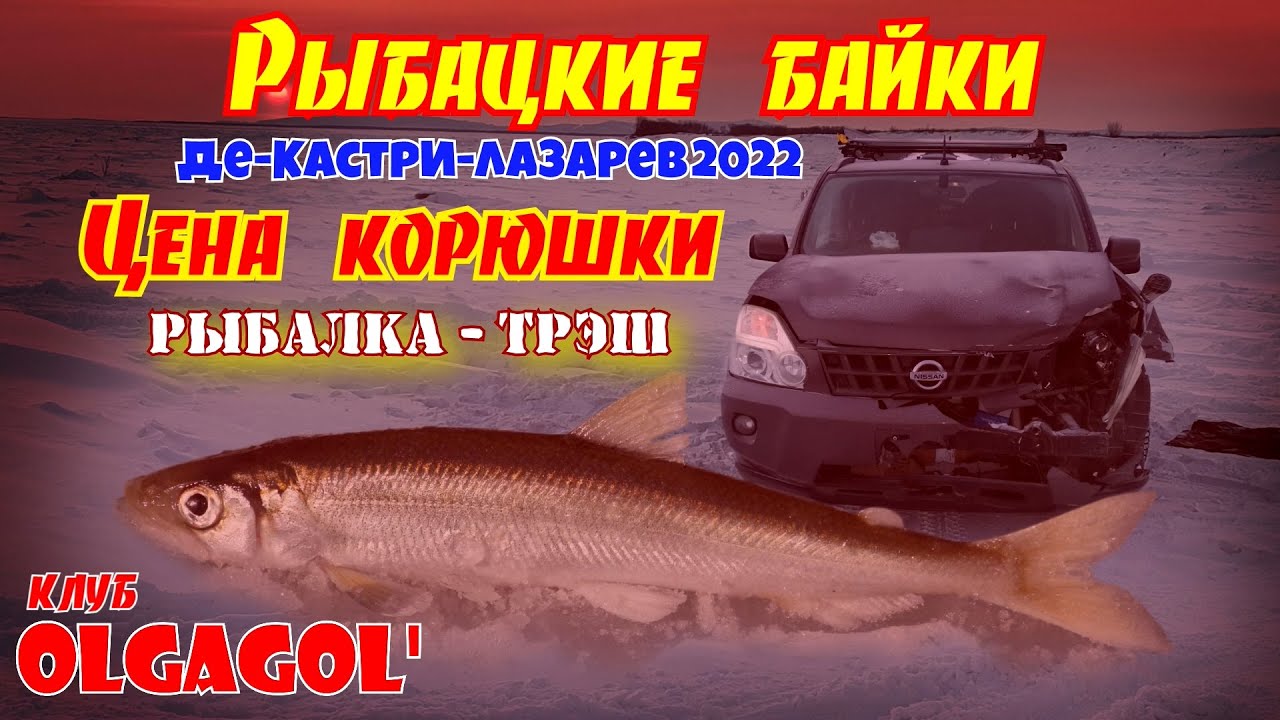 Рыбацкие байки    Рыбалка - ТРЭШ или Цена корюшки Де Кастри   Лазарев