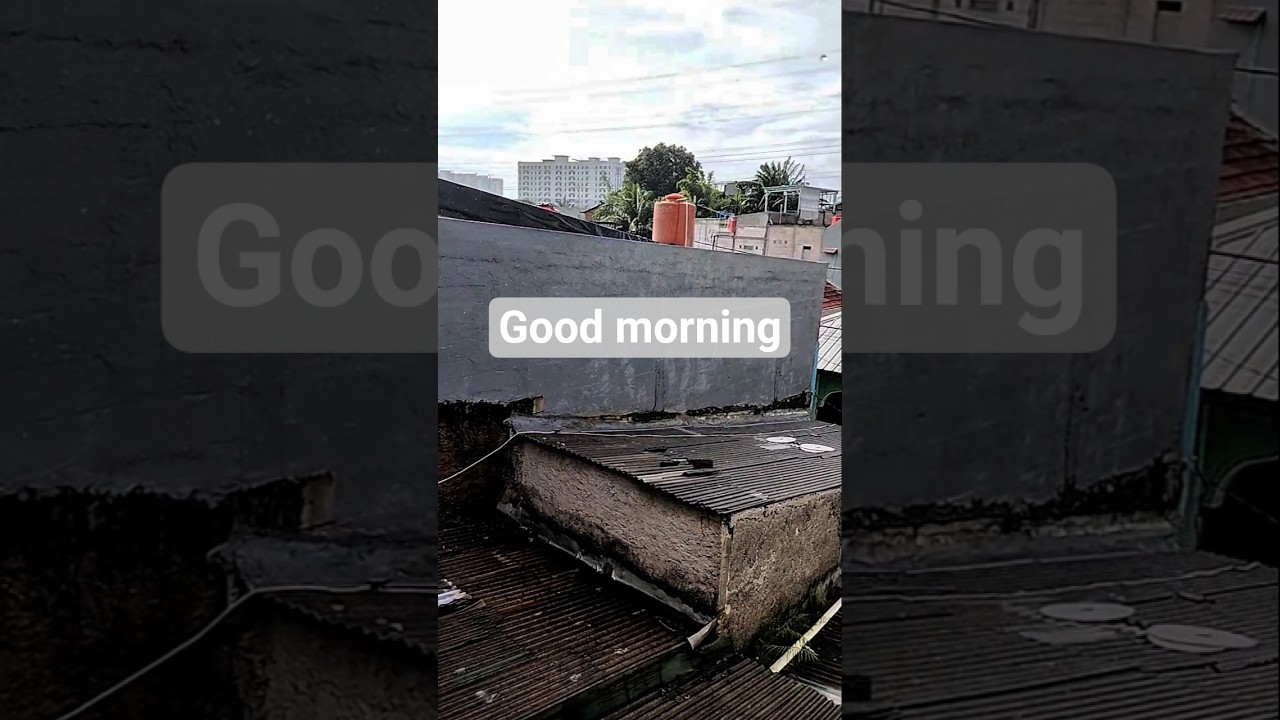 Peaceful Morning Vibes: A New Start ✨ ( Fart 9 )