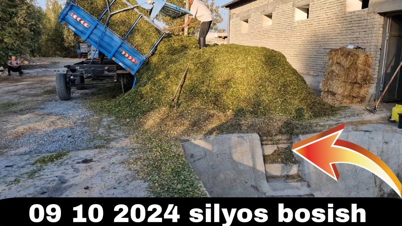 Silyos Bosish Qanday Boladi 2024 10 09