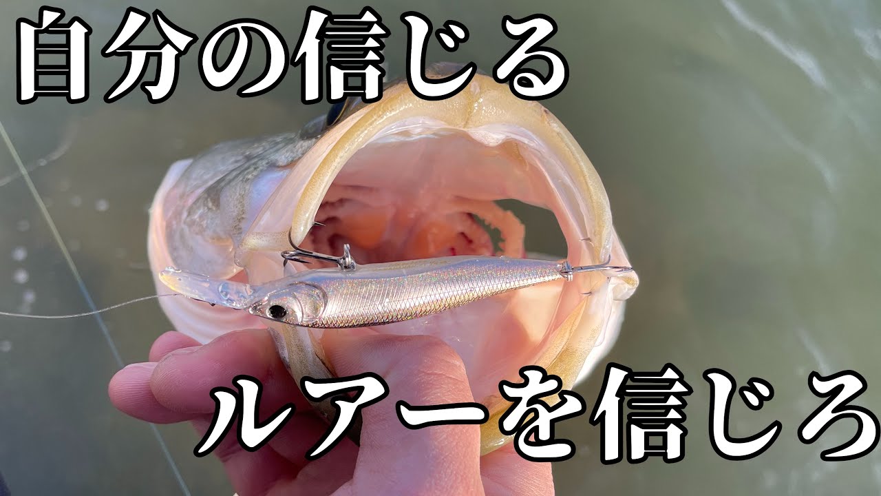 寒波が来た後にこのルアーを信じて投げ切ったらシーバスが釣れました【NANAHAN＋1】