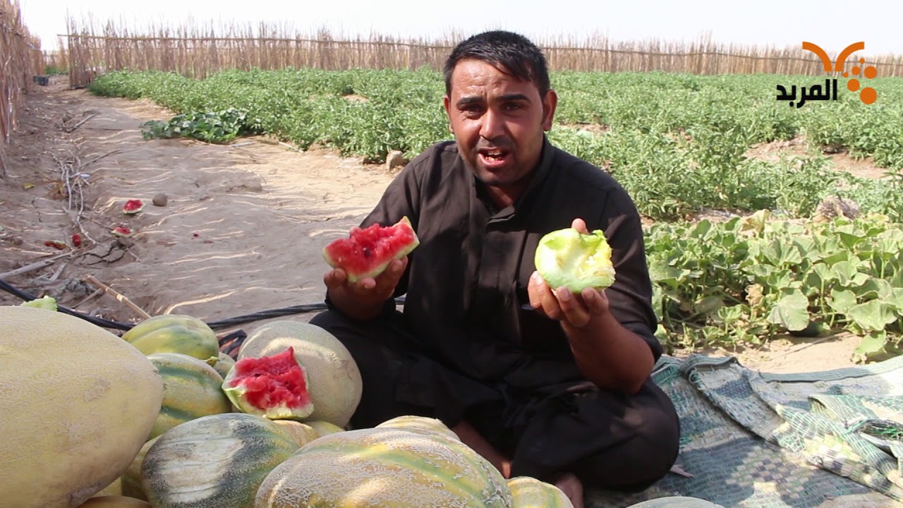 ركي اللحيس يشكو الاستيراد