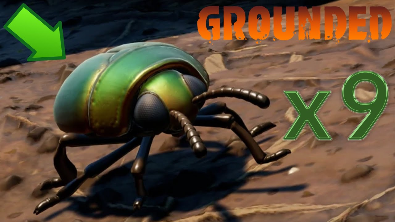 GROUNDED 1.2.6 TUTO LOCALISATION, SPOT A SCARAB&Eacute;E !