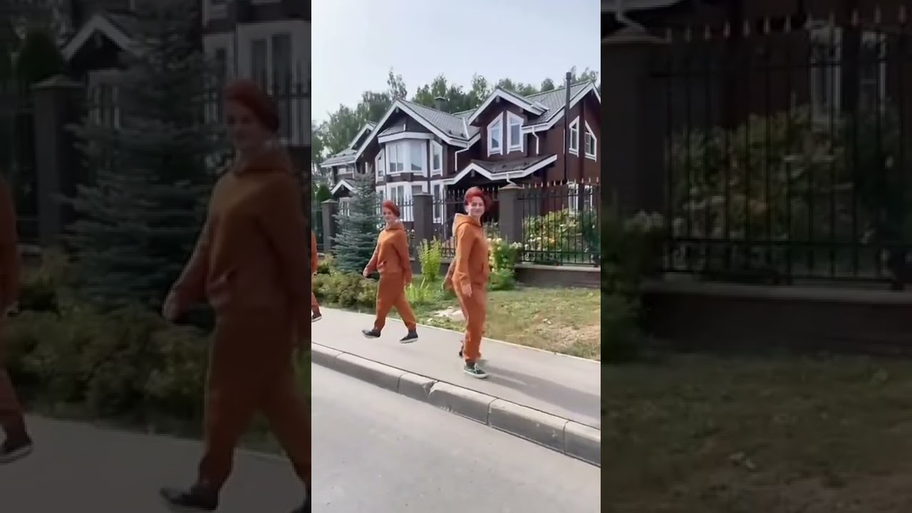 Стоп-кадр
