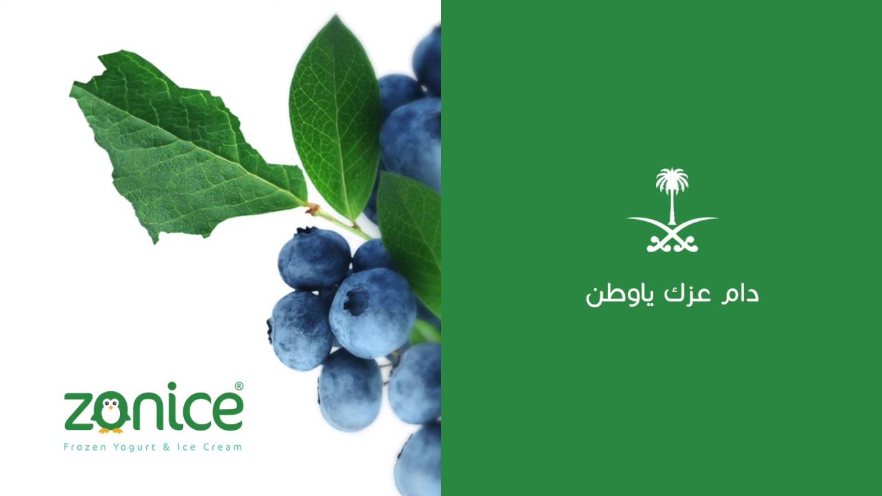 بلادي بلادي منار الهدى