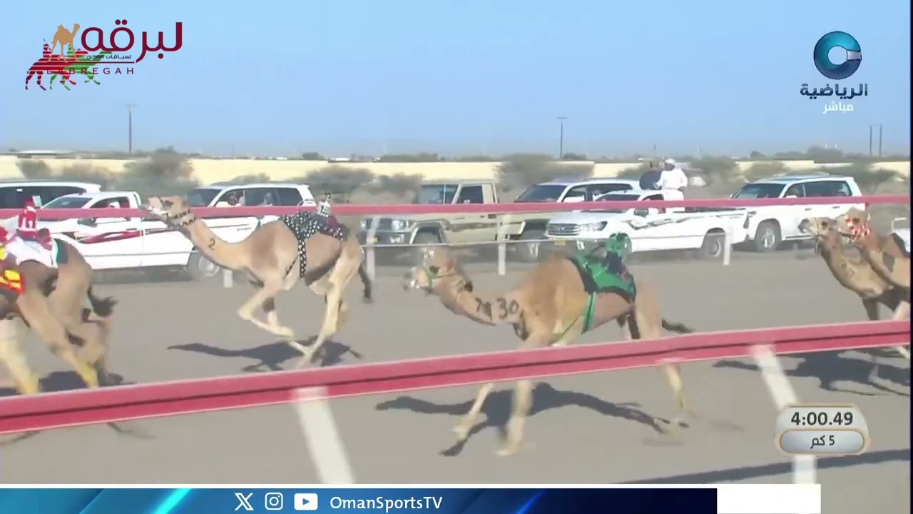ش8 التبر لـ  بدر ناصر حمد المدهوشي (السباق السنوي للاتحاد العماني 19-01-2026ص) لقايا قعدان 8:00:12