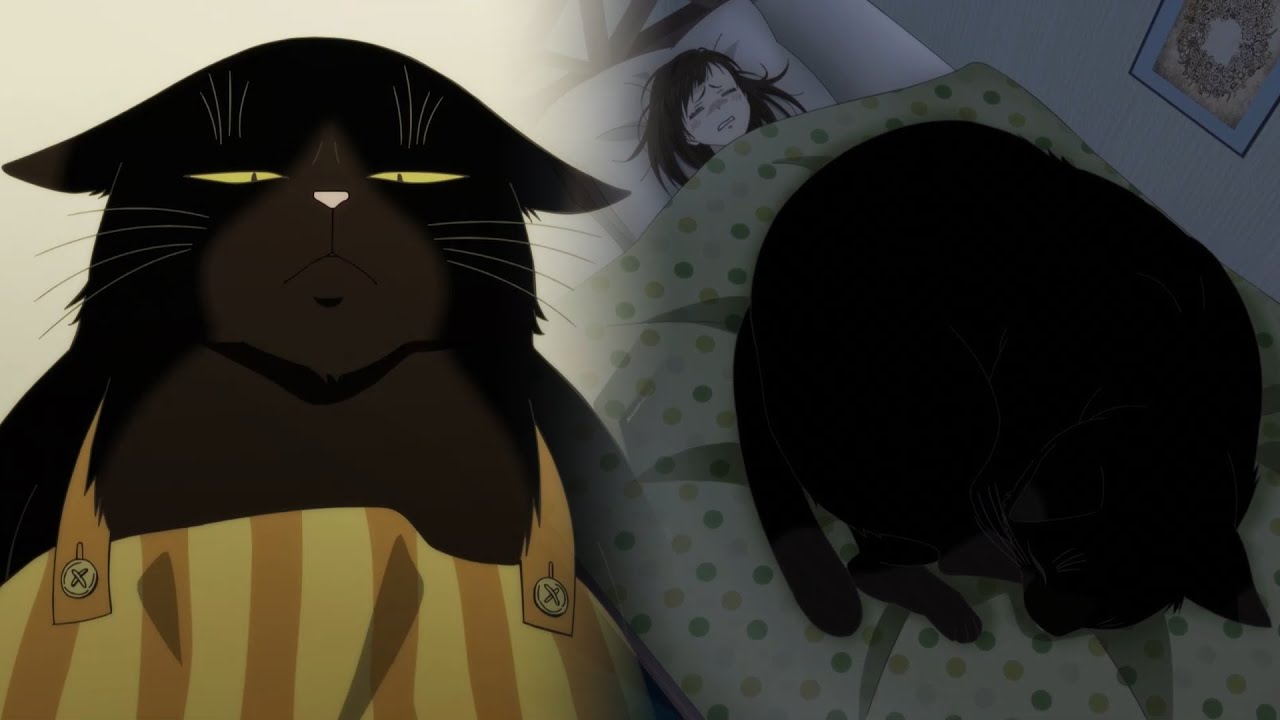家猫と愛人の出会いの物語   デキる猫は今日も憂鬱