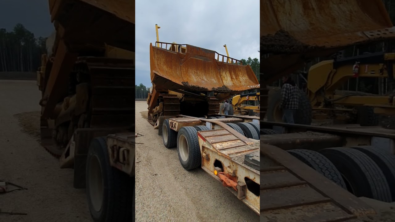 загрузка экспертного оператора D8