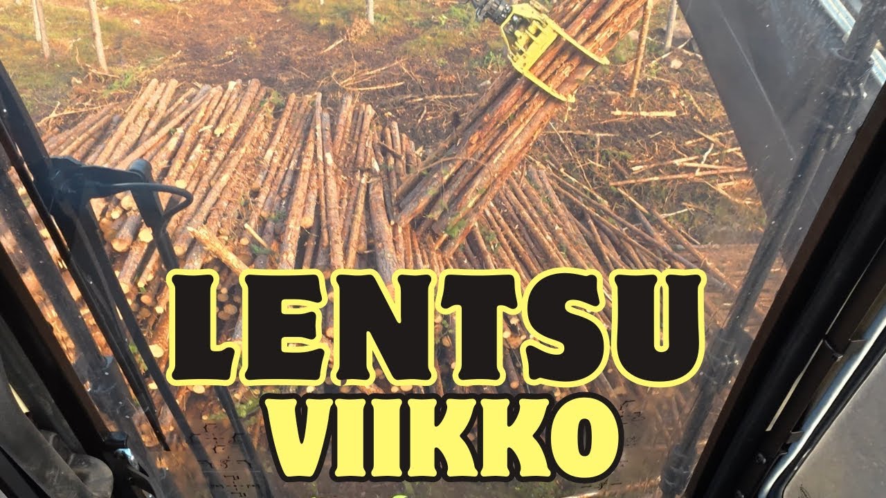 Historiallinen päivävuoroviikko