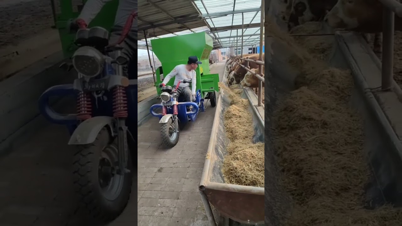 3 cubic meter feeding cart #FeedWagon #FeedingWagon #LivestockMachinery #FarmMachinery #Manufacturer