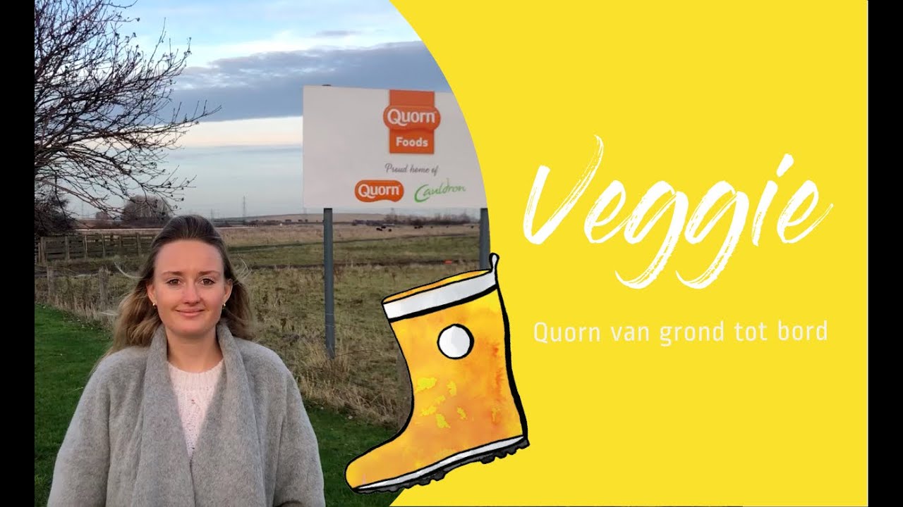 QUORN VLEESVERVANGER van grond tot bord