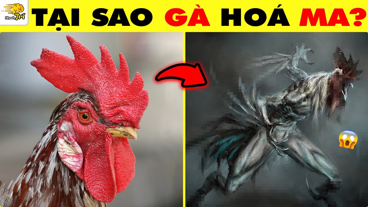 ĐOÁN TÊN MA DÂN GIAN VIỆT NAM BẠN CÓ DÁM THỬ KHÔNG? | Nhanh Trí