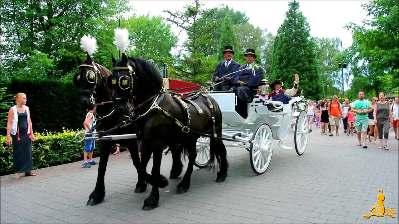 Bonte Zomer Stoet (2) - Negen Pleinen Festijn 2014 @Efteling