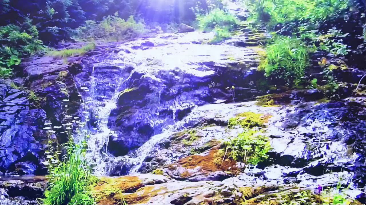 Music for Tinnitus Therapy, Best Tinnitus Noise Generator