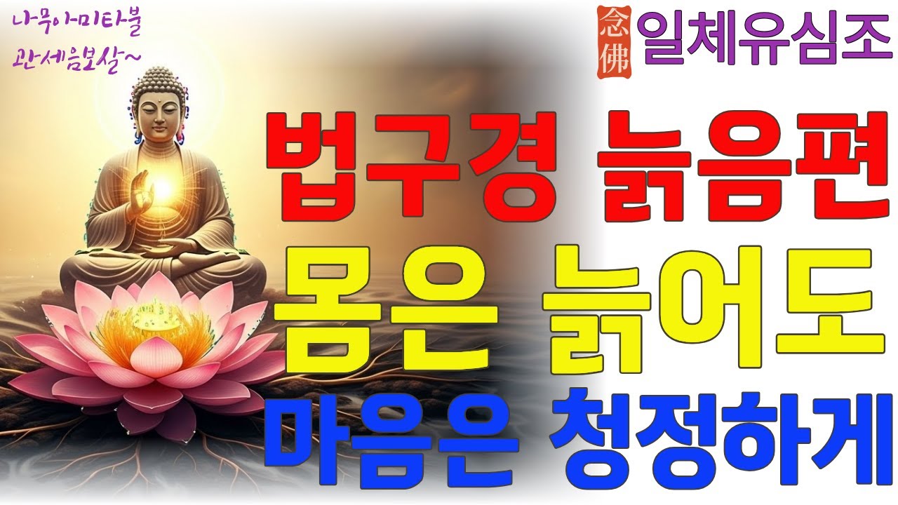 법구경 제11장 늙음편  #늙음과죽음 #법구경 #무상 #노년 #명상음악