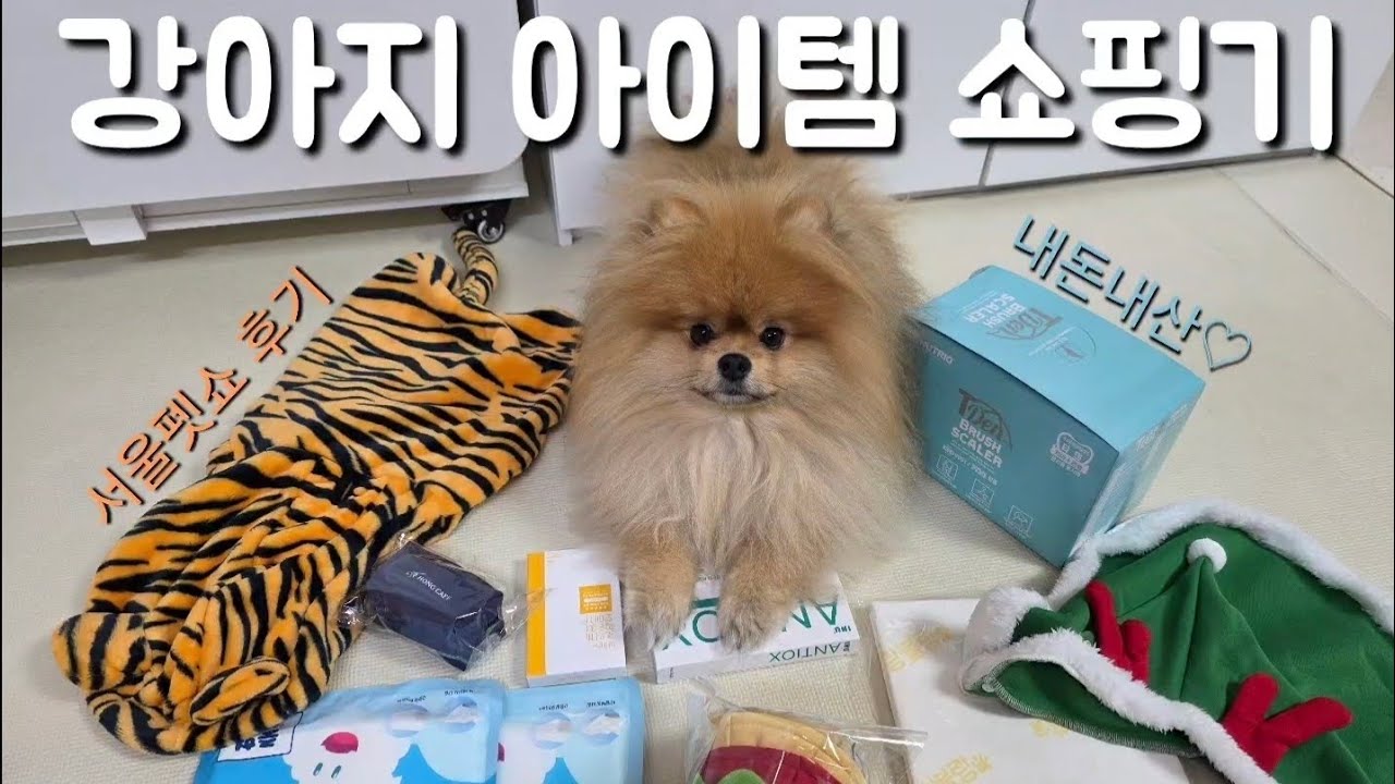26F/W 펫신상 쇼ㅑ핑하는 강아쥐 보고가실래요?