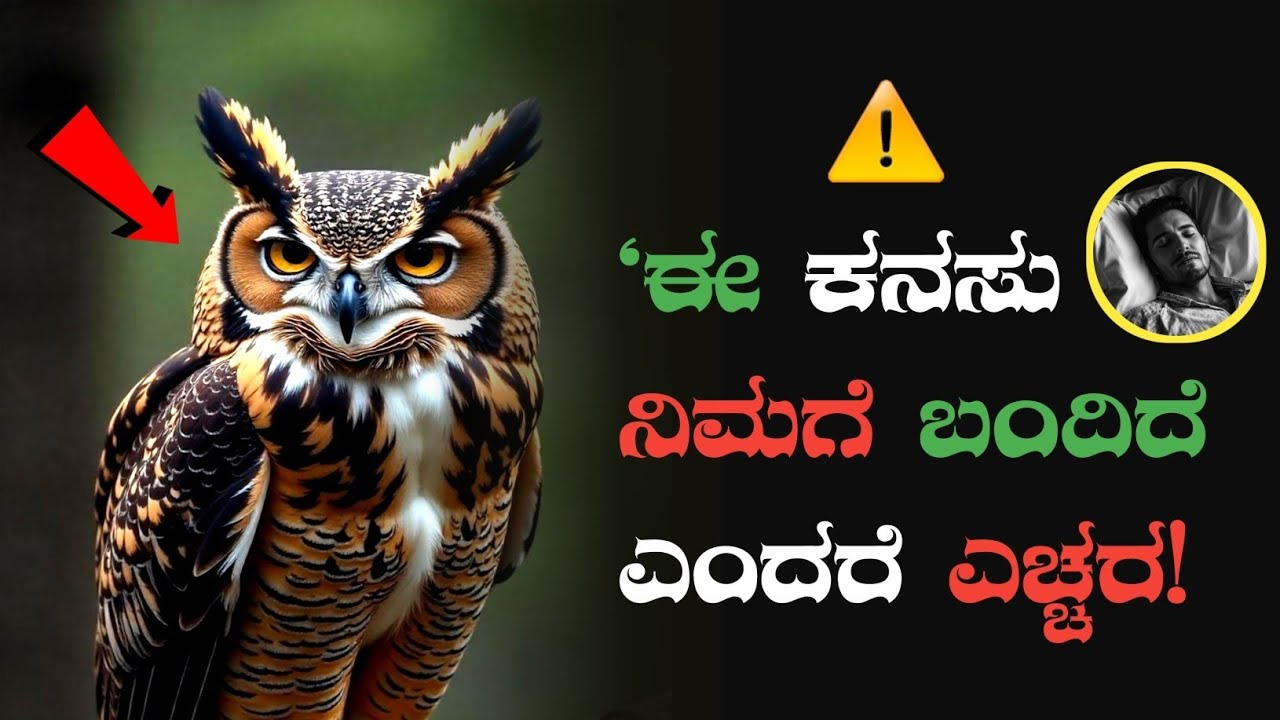 ಕನಸಿನಲ್ಲಿ ಗೂಬೆ ಕಂಡರೆ ಇದೇ ಸಂಭವಿಸುವ ಸೂಚನೆ!😱⚡owl dream meaning in kannada