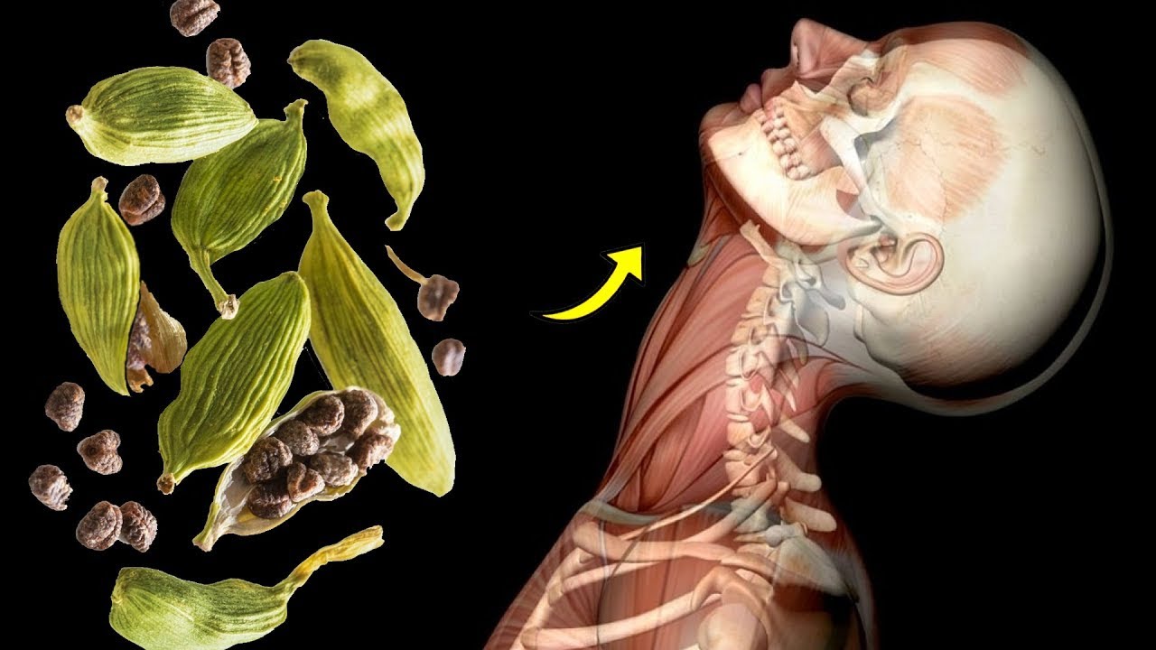 Isso &eacute; o que acontece com o seu corpo quando voc&ecirc; come Cardamomo todos os dias