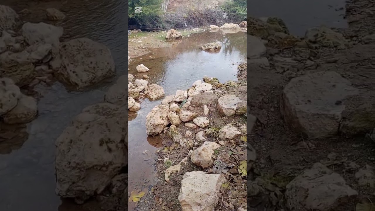 عودة المياه الى عين الغارة تاوجدات 