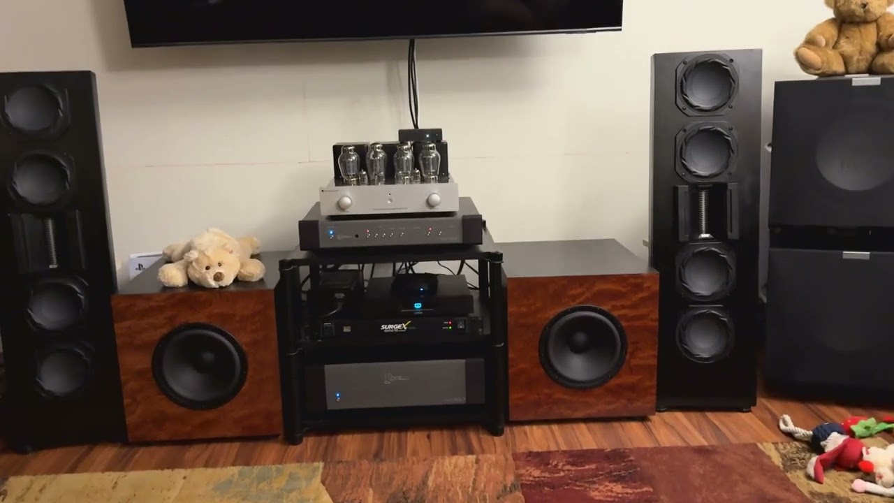 Heil ESS AMT 18 sound midwoofers SB Acoustics 9.5&rdquo; Satori woofers
