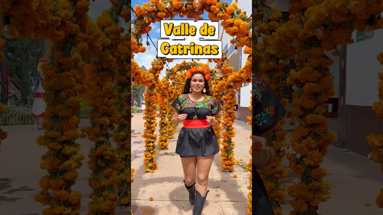 Valle de Catrinas en Atlixco, Puebla 😍❤️🇲🇽 #atlixco #puebla #catrina #diademuertos