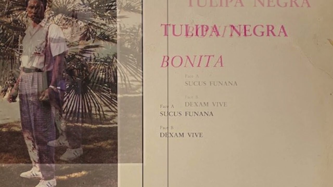 Tulipa Negra- Dexam Vive (1988)