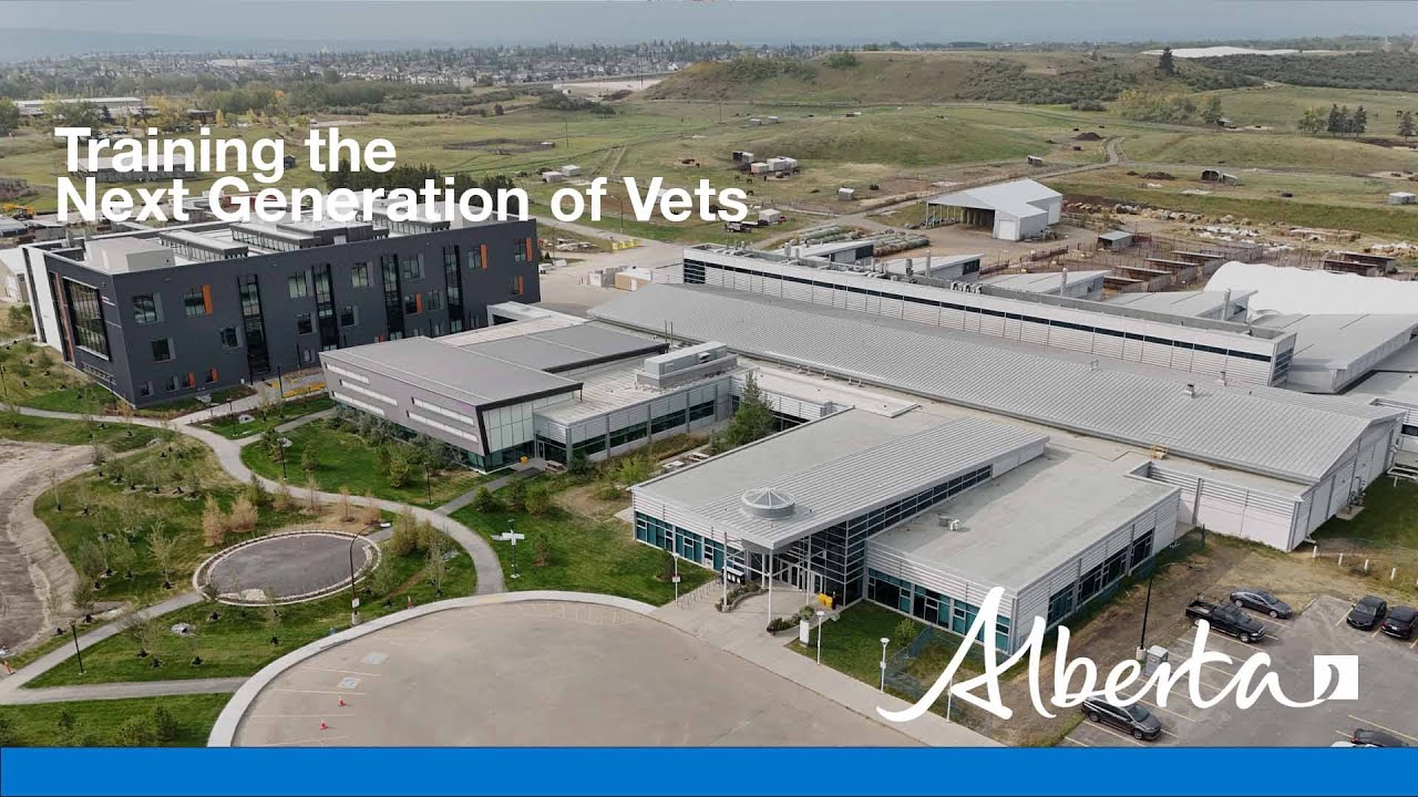 Training the Next Generation of Vets