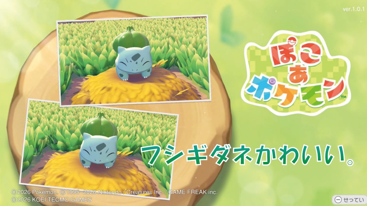 ぽこあポケモン 2