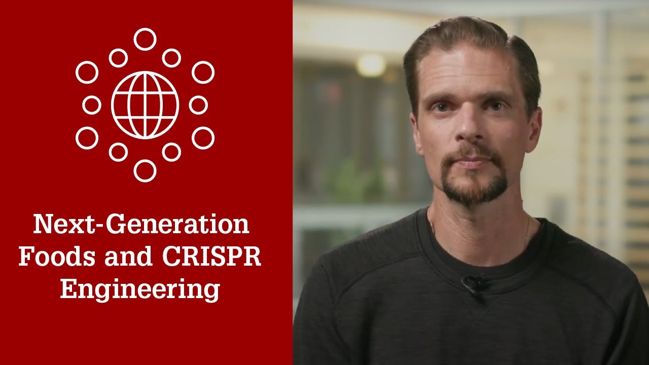 Next Generation Foods and CRISPR Engineering (Rodolphe Barrangou, Ph.D.)