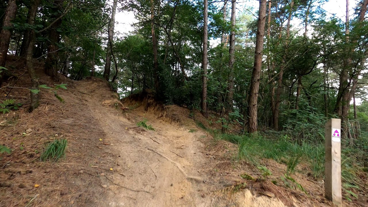 Kalmthoutse Heide MTB groene-paarse-groene lus 30 juli 2023