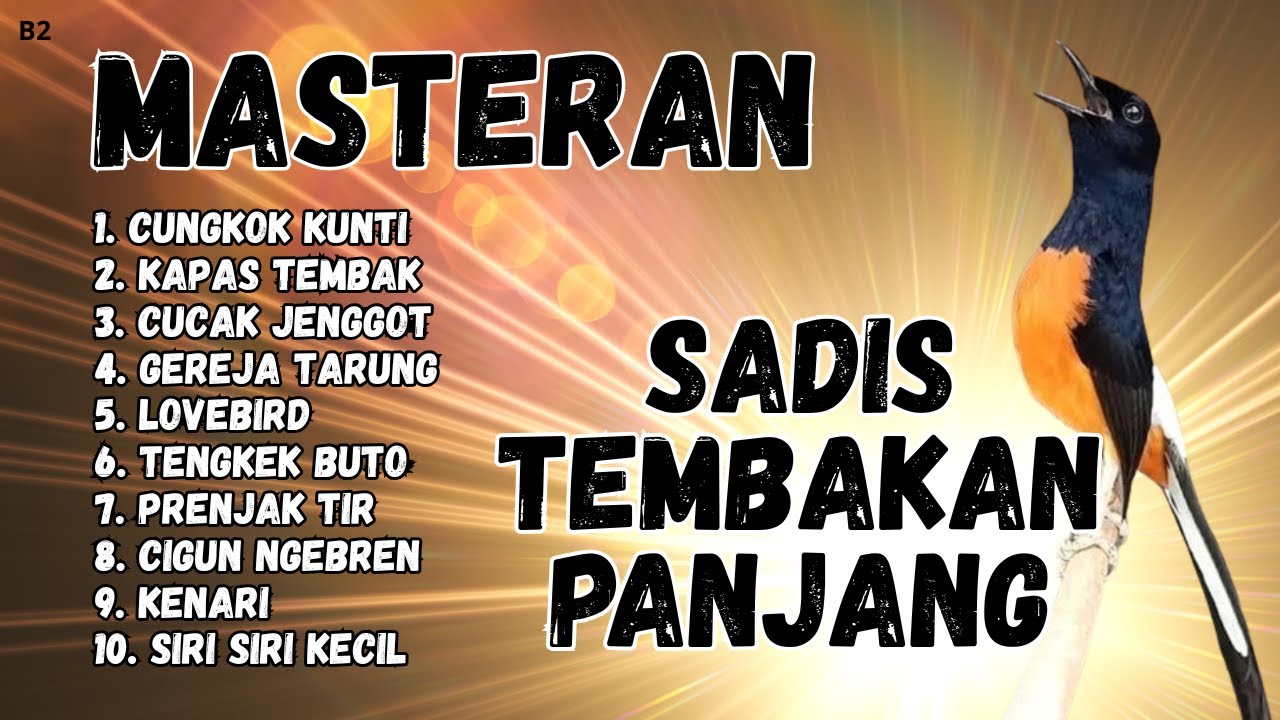 🔴 GACOR SADIS MENTAL KUAT MASTERAN MURAI BATU GACOR