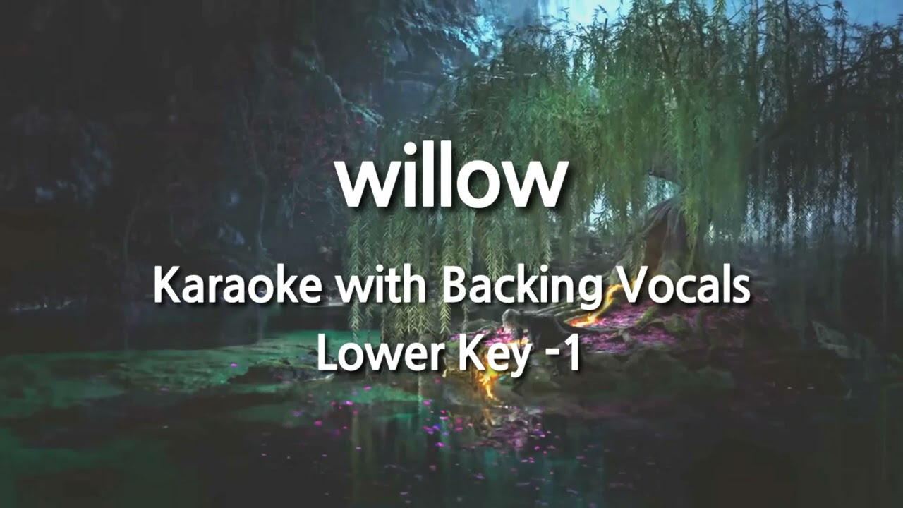 willow (Lower Key -1) Karaoke with Backing Vocals