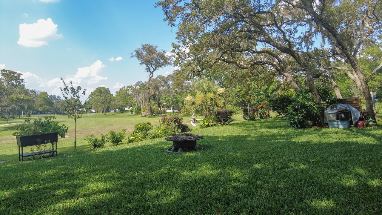 CitraBlue St. Augustine Puts Shade to the Test