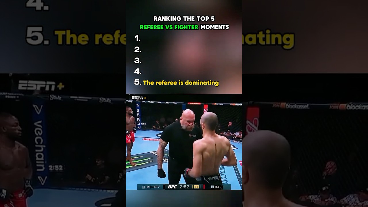 Ranking The Best Referee vs Fighter Moments 