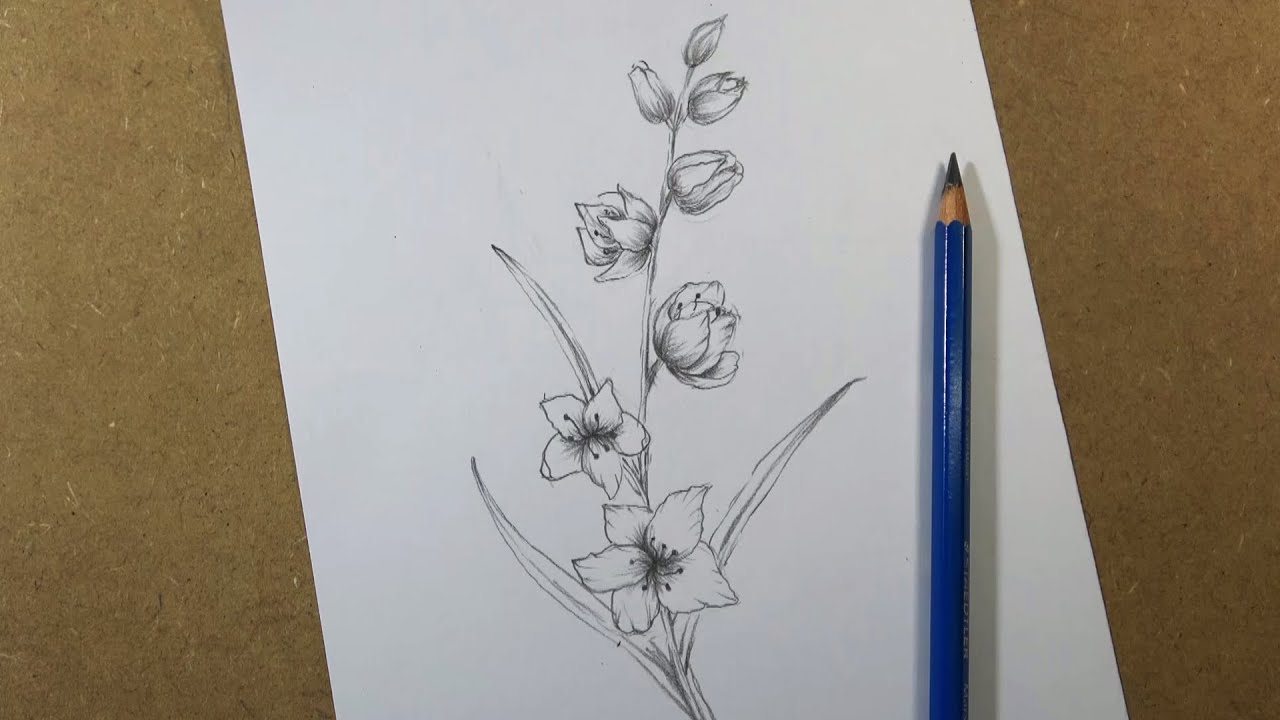 How to draw Flower easy and step by step | Hihi Pencil