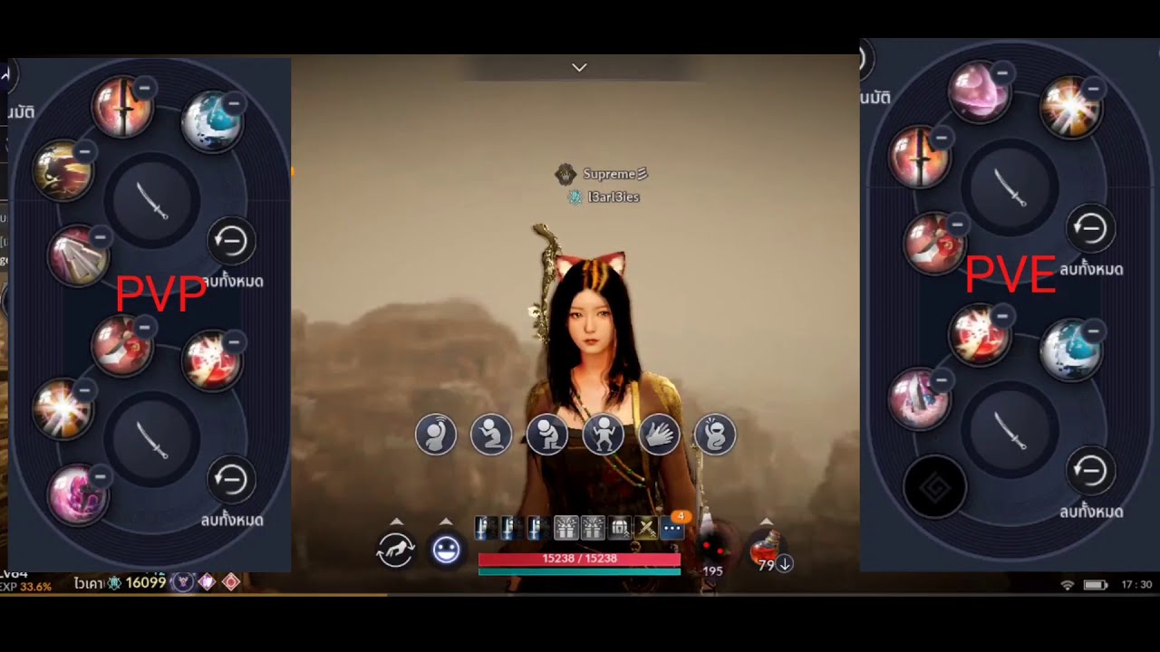 BDM Maehwa Rework PVP PVE